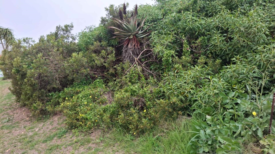 0 Bedroom Property for Sale in Vleesbaai Western Cape